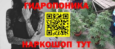 каннабис Будённовск